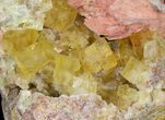 Lustrous, Yellow Cubic Fluorite and Barite on Quartz - Morocco #44904-2